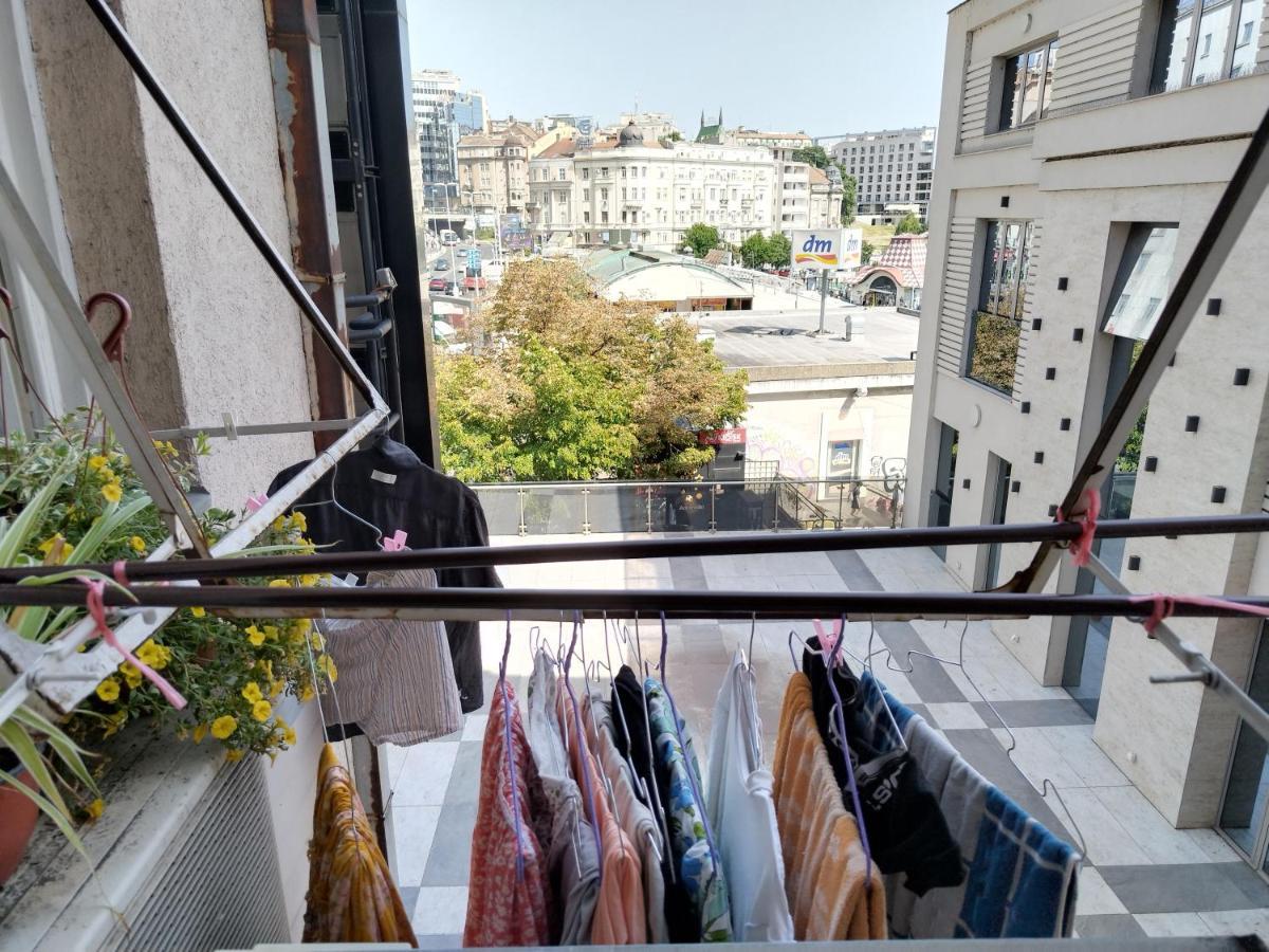 نزل بلغرادفي Monica'S House المظهر الخارجي الصورة